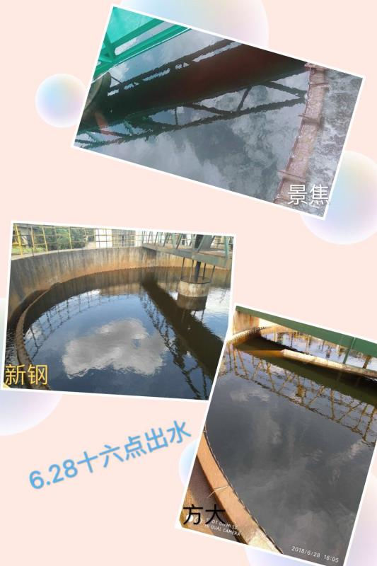 &#21338;&#40060;&#32593;&#39029;&#29256;&#30331;&#20837;&#30028;&#38754;&#45;&#21338;&#40060;&#40;&#20013;&#22269;&#41;
